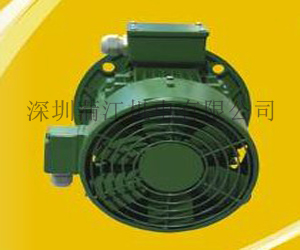 JMUS臥式三相異步頻電動機