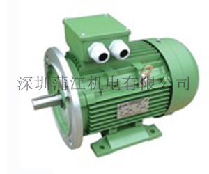 JL立式節能鋁殼電機